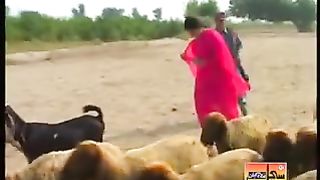 Dhado Zamane Satayo | ڏاڍو زماني ستايو | Farzana Parveen | Sindhi Song | Sindh World Songs