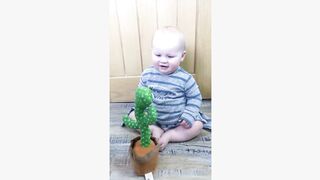 Cute Babies scared by Cactus Toy | 2023