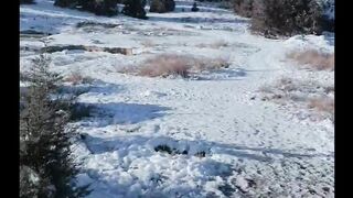 snowfall in Quetta