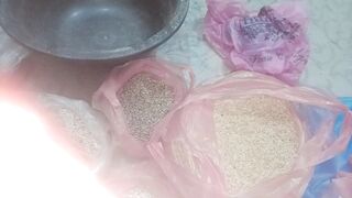 Love bird mix seed