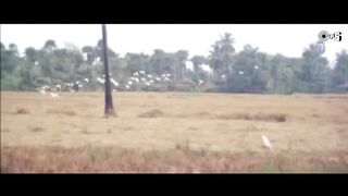 Kya Mausam Aaya Hai