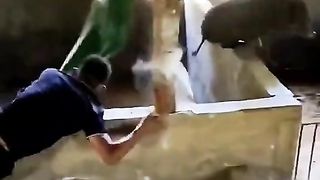 Funny video