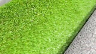 The packing of our turf