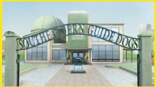 Cartoon ki video