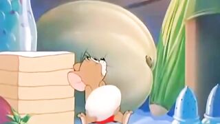 Tom and jerry cartoon