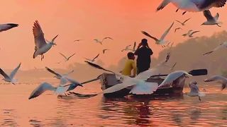 Tu hi dhoop chaya........