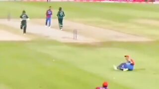 Cricket video