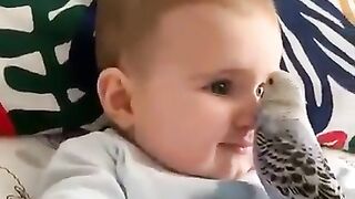 Cute baby boy fun with parrot