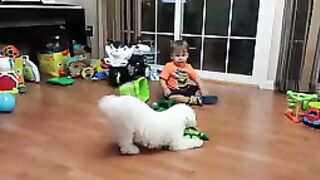 Dog laughing with baby