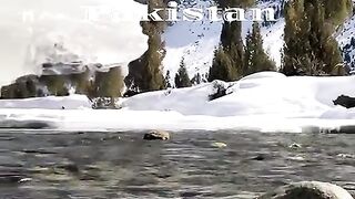 Beautiful scene