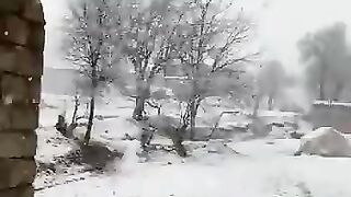 Good morning, Snowy weather and nature beauty.