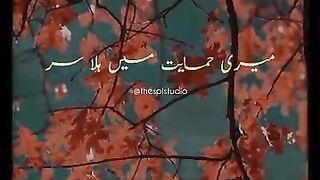 poetry by waseem badami