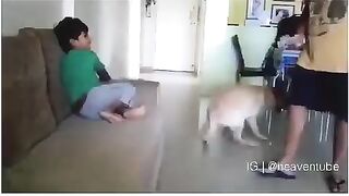 Loyal Dog