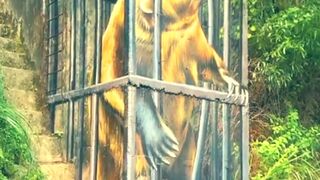 Bear Attack Drawing Painting Of Dangerous Bear One of the Best Draw