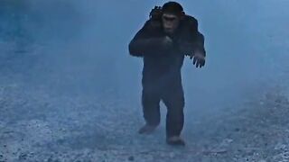 Plant of the ape movie scene