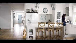 Cat Video