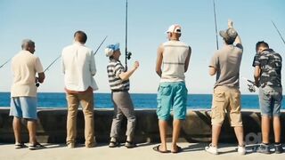 Funny Videos