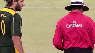 Cricket shorts video