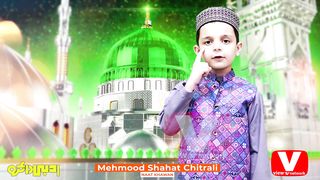 Mehmood Shahat Chitrali | Naat | Hara Gumbad | View TV | View TV Network