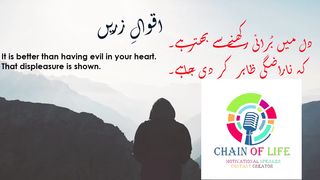 Quotes||Never Forget Three People In Life || Chain Of Life