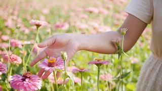 So beautiful flowers ????????