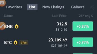 100$ invest in Btc ??