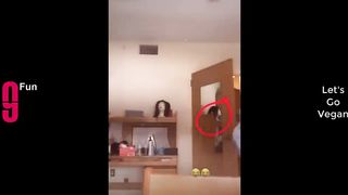 Try Not To Laugh!!! ????????????