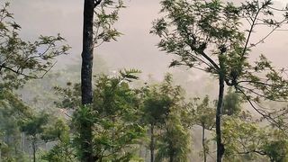 Beauty of wayanad