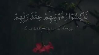 Quran
