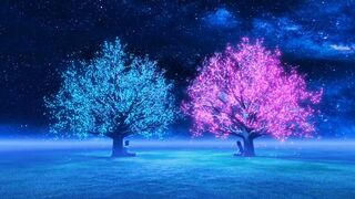 the-beat-of-nature-