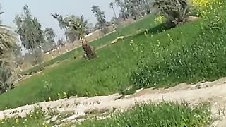 Beauty of village