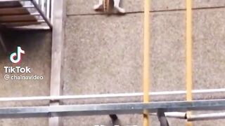 flying cat.