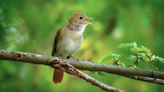 Flying Over Nature,Amazing Beautiful Nature Scenery With Beautiful Nature Music HD 4K