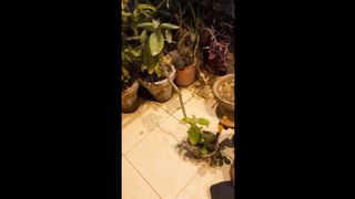 Gardening with kids