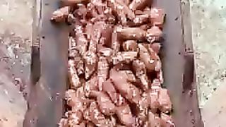 Sabudana making video.topiaco into sabudana( sago rice)