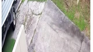 Funny video 001