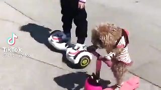 Shall we go for a ride?