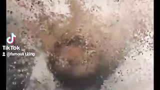 just fun