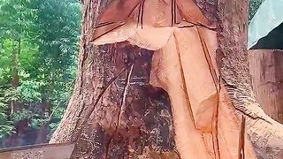 What is this????see the end what do with wood