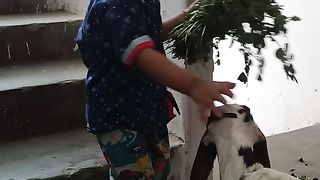 Kid with little goat