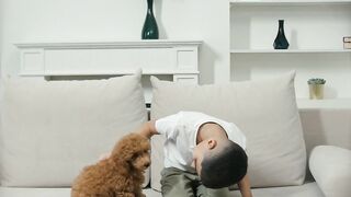 Funniest Animals 2023???? Funniest Cats, elephant and dog ???????? | Pets Family#0.1
