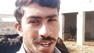 WhatsApp status poetry by Adnan Kais