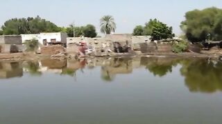 Murad Ali Shah