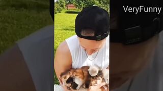 Cats go berserk