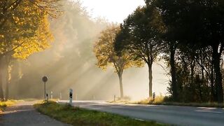 Nature Beauty
