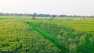 Beauty of village