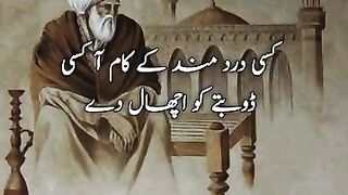 کسی درد مند کے کام آ کسی ڈوبتے کو اچھال دے ????.
