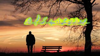 Muhabbat e insan me dob k gham nigar howy title poetry Gila Jawab e Gila