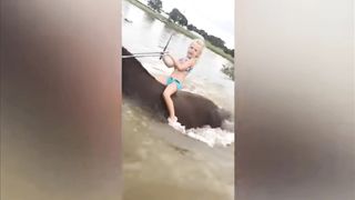 Very cutest funny pet animals