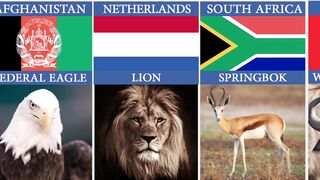 National Animals of Different Countries